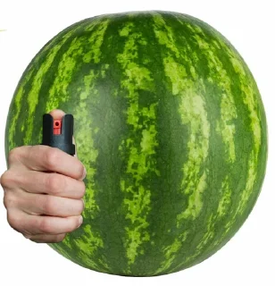 🍉