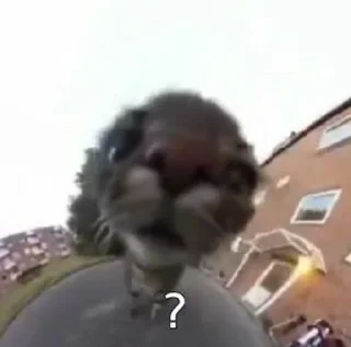 ❔