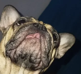 🌟