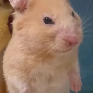 😠