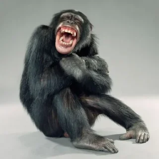 🐒