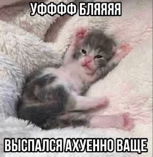 🤬