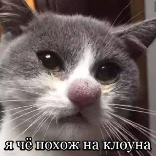 🤡
