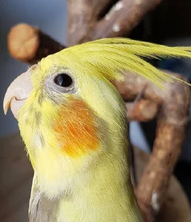 😁