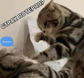 🤠