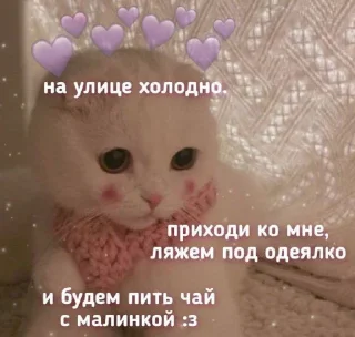 💜