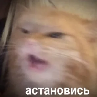 😠