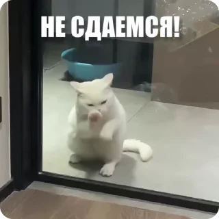 😉