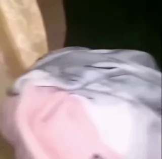 🤣