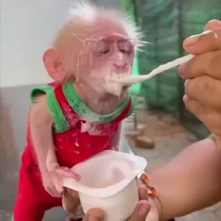 🥺