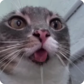 🤤