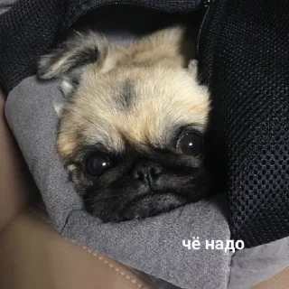 🤨