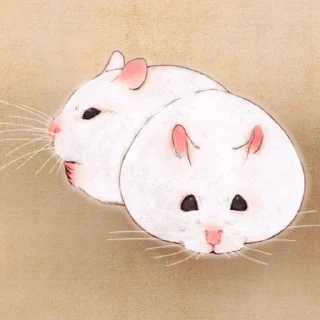 🐹