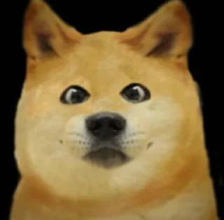 😲