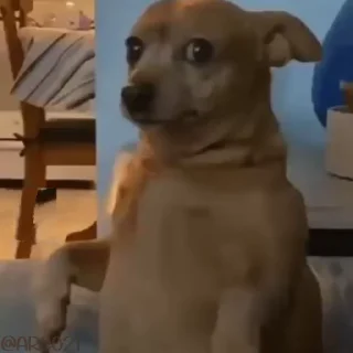 🫠