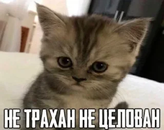 🔞