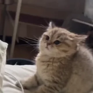 🔫