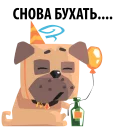 Bad Pugs @stickersb2b