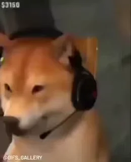 🎧