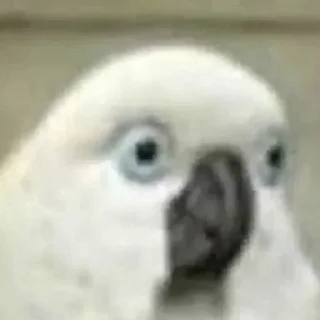 😳