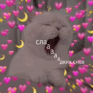❤️