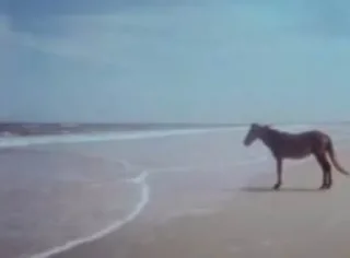 😢