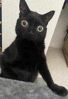 😐