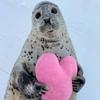 seals4life