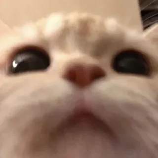 🙂