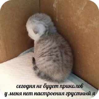 🥲
