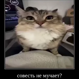 🤔