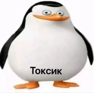 ‼️