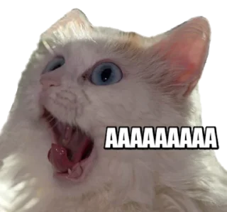😱