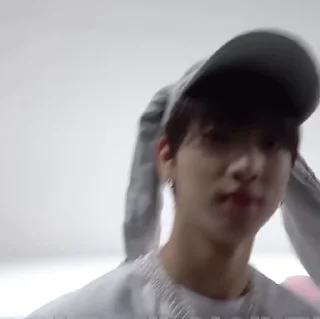 🐰