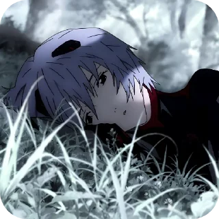 😴
