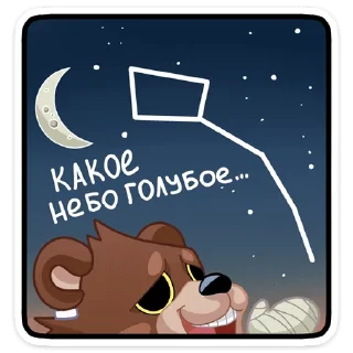 🌃
