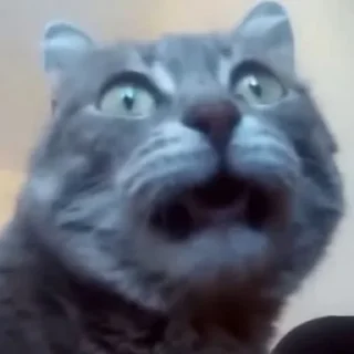 😦