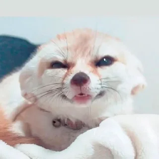 😏
