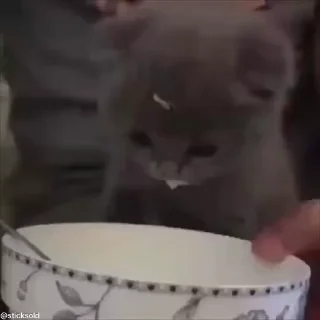 🫠