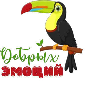 🐦