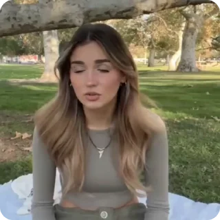 🐢