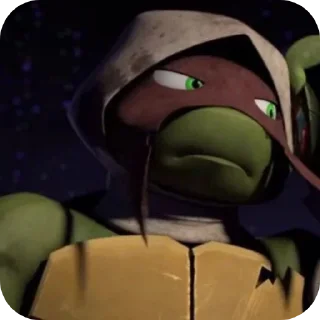 🐢