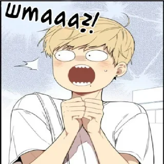 🙀