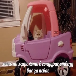 🚗