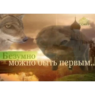 🐺