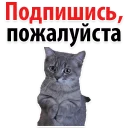 Sign up @stickersb2b
