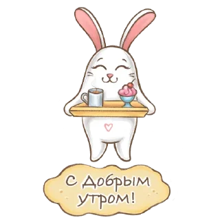 🐰