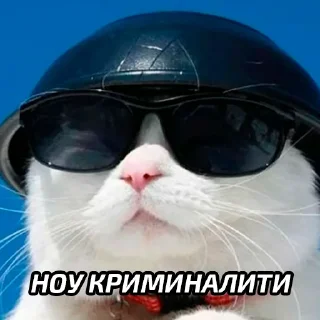 😎