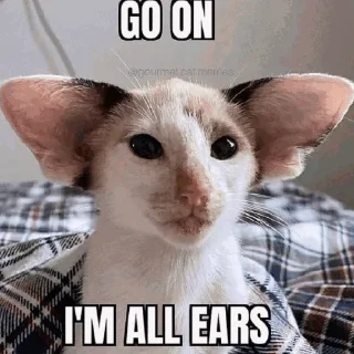 👂