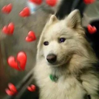 💔